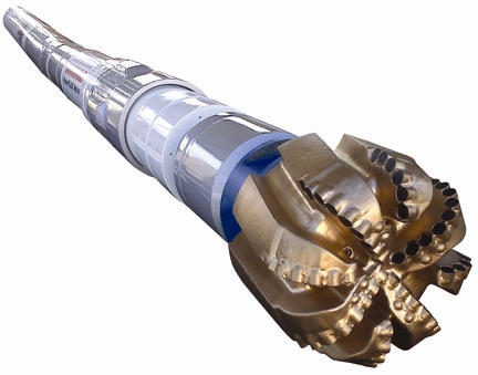 Downhole Motor